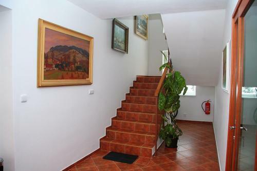 Hostal Penzion Bocheta
