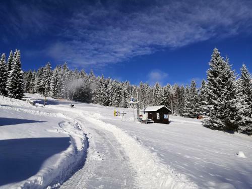 Hostal Penzion U Horej??, Zadov - Chur�?ov