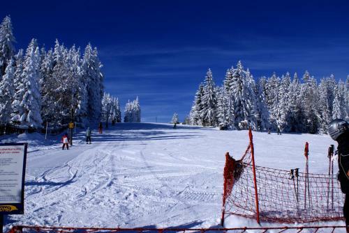 Hostal Penzion U Horej??, Zadov - Chur�?ov