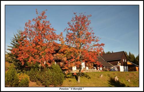 Hostal Penzion U Horej??, Zadov - Chur�?ov