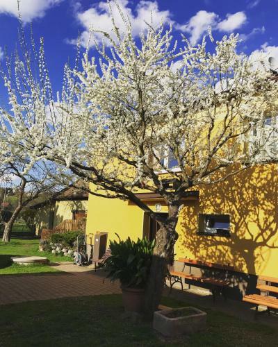 Apartm�n Nov�kovi