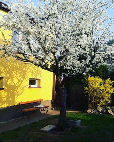 Apartm�n Nov�kovi