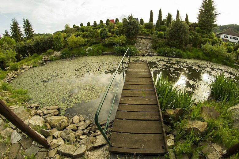 Hostal Pension Regina