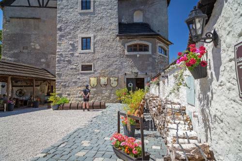 Hostal Hrad Vildstejn