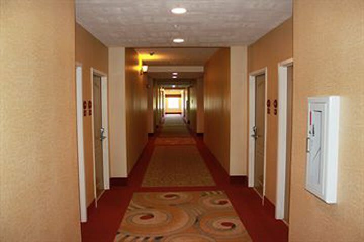 Hotel Franklin Lodging