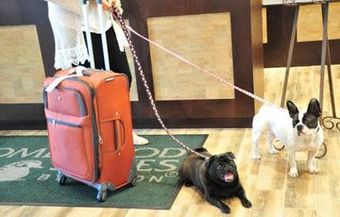 Hotel Homewood Suites By Hilton Hamilton, Nj