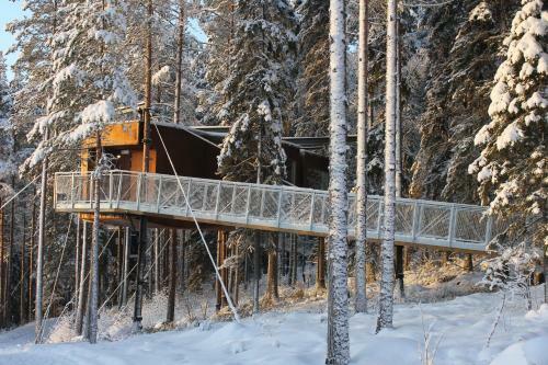 Lodge Treehotel