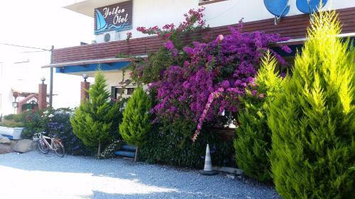 Urla Yelken Hotel