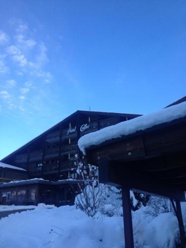 Hotel H�tel Cailler