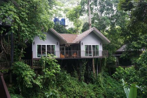 Hotel Rock And Tree House Resort