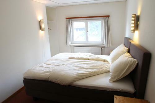 Hostal B&B Swisschalet Montana