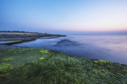 Agroturismo Stf Hagaby/lantg�rden Hostel