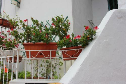 Apartamento Casa Vacanze Nonna Raffa