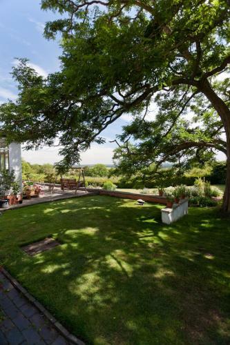 Bed & Breakfast Shakespeare's View