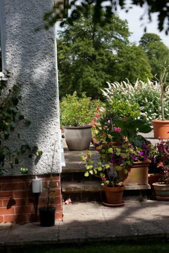 Bed & Breakfast Shakespeare's View