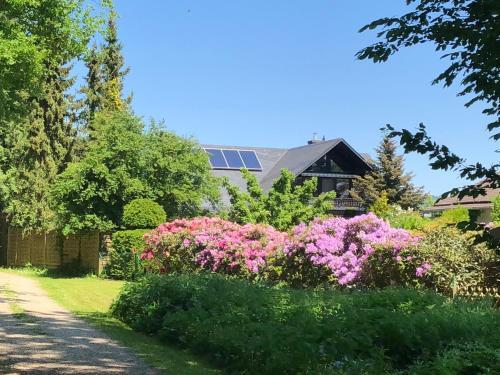 Apartamento Ferienwohnung Will