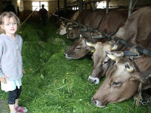 Agroturismo Andreashof
