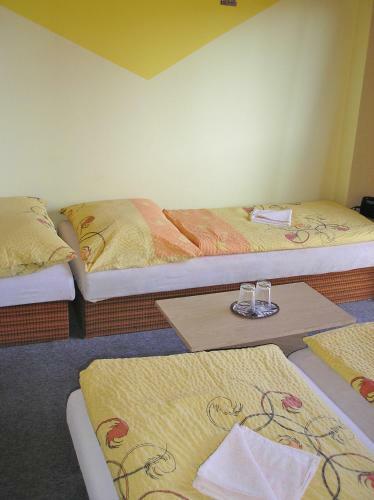 Hotel Koliba Belveder