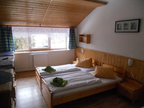 Hostal Penzion Kamzik