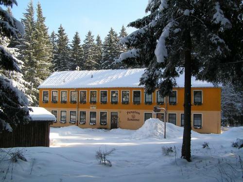 Hostal Penzion ?umavous