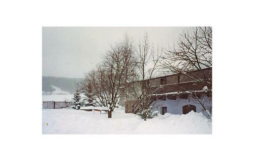Holiday Home Pravetin