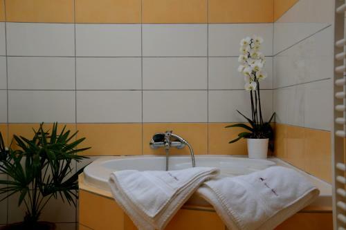 Hostal Penzion Jel�nek