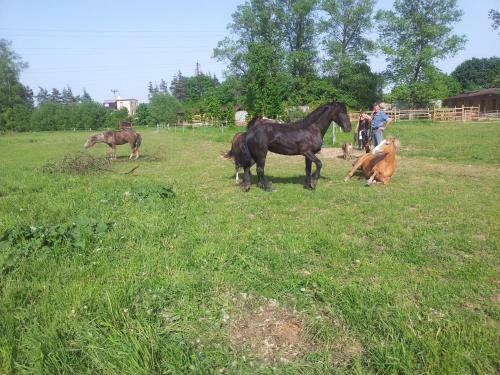 Agroturismo Ran? Orlice