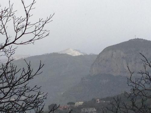 Bed & Breakfast L' Arancio In Fiore