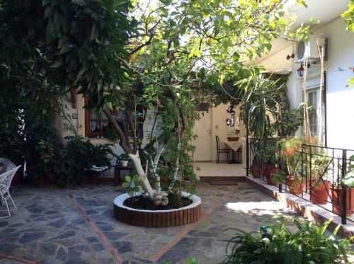Hostal Nopi Pension