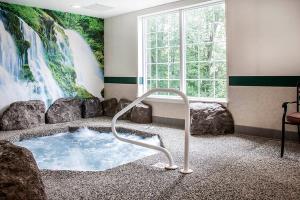 Hotel Comfort Inn & Suites Colonial