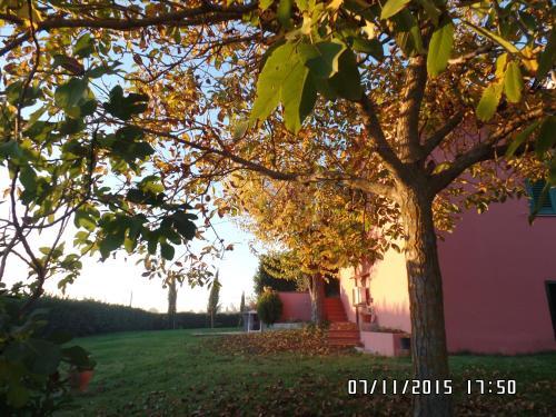 Agroturismo Agriturismo Le Caselle