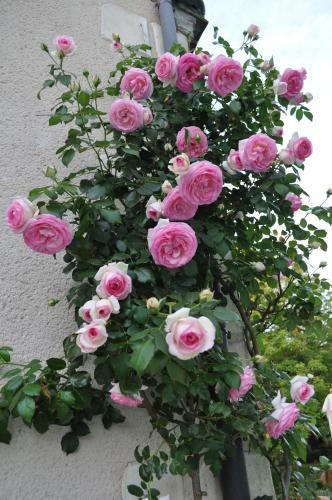 Bed & Breakfast Chambres D'h�tes La Bergerie De L'aqueduc