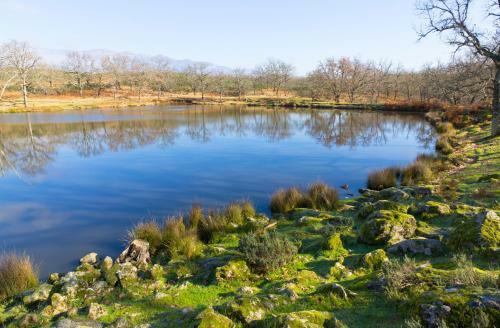 Agroturismo La Hospeder�a Del Silencio