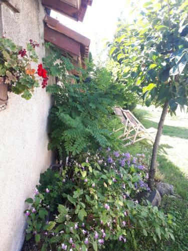 Bed & Breakfast La Ferme De L'orme-vial
