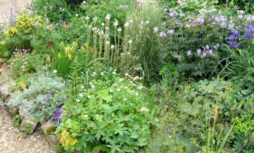 Apartamento Casa Del Cavaliere