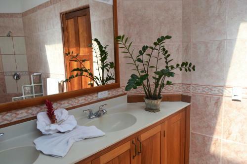 Hotel Condiminium Villas Mymosa