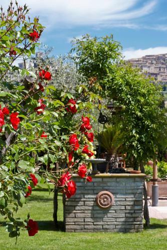 Agroturismo Il Roseto