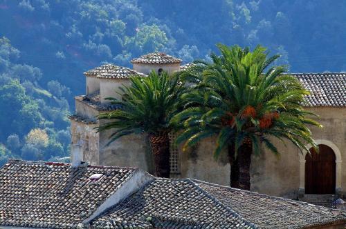 Il Falco E Il Gabbiano B&B