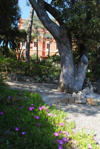 Hotel Albergo Miramare