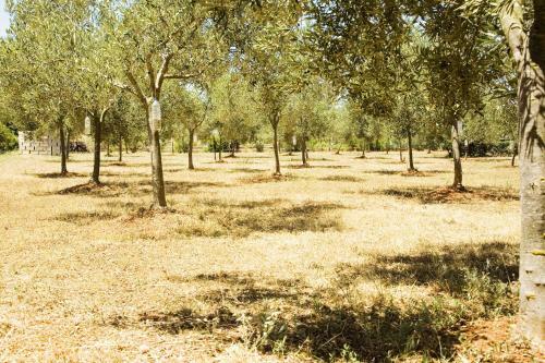 Agroturismo La Hacienda