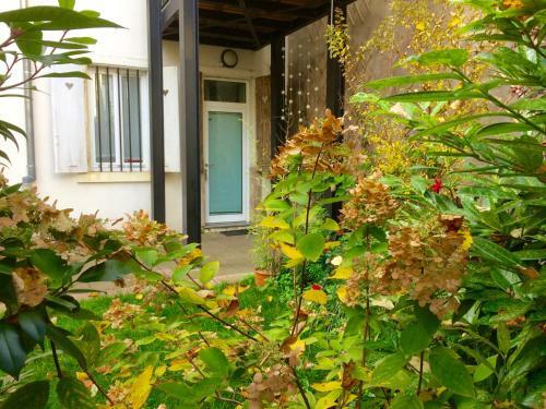 Apartamento Villa Schiller, 2 Studios C�t� Jardin - Quartier Orangerie