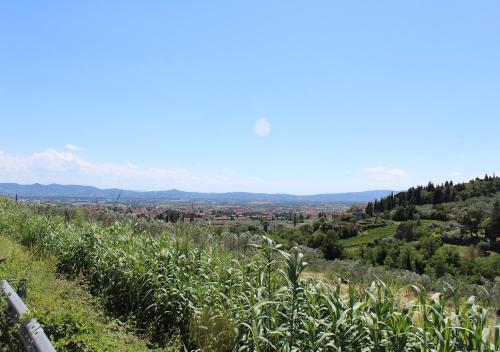 Bed & Breakfast Ulivo Rosso