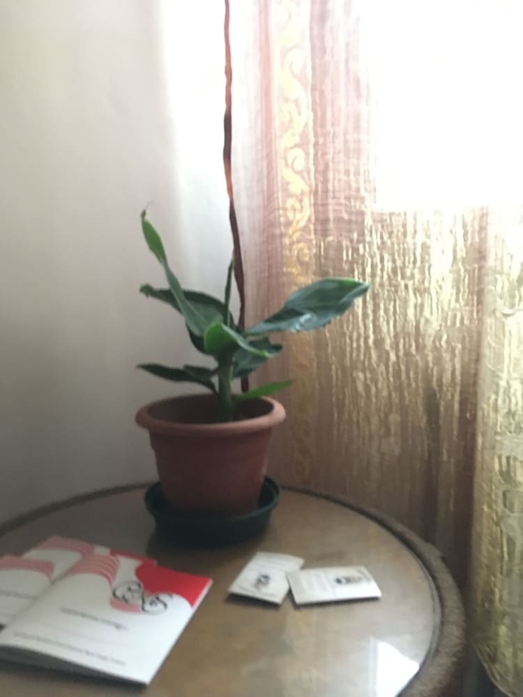 Apartamento B&B Del Teatro