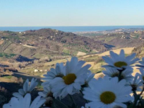 Agroturismo Il Poggetto