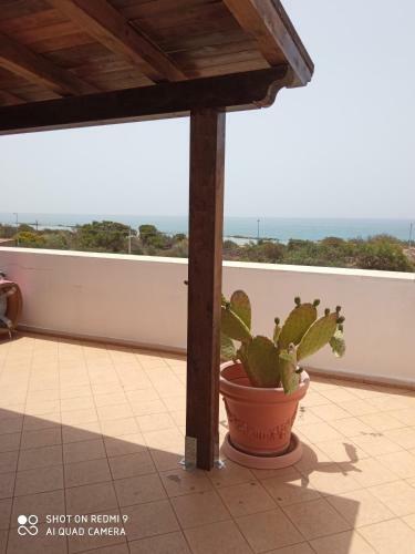 Bed & Breakfast B. & B. Arcadias