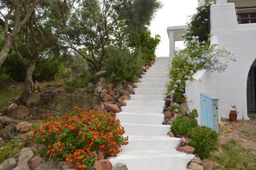 Casa Shezella