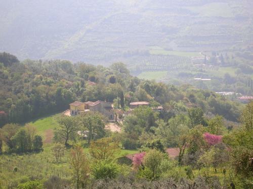 Agroturismo Il Gelso Country House