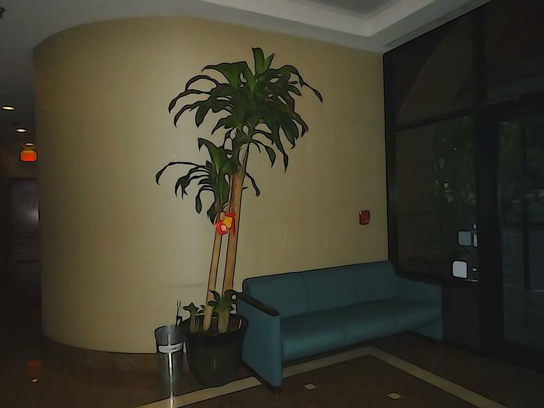 Windsor Hotel
