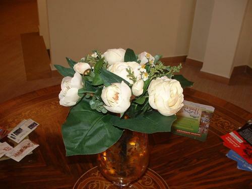 Hostal B&B Prima Classe