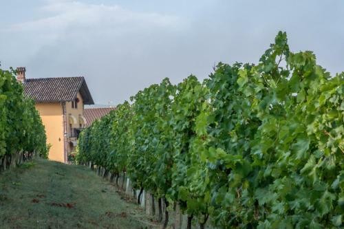 Agroturismo Mongalletto